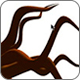 max_icon-details