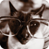 product_icon-jitter