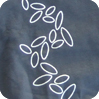product_icon-merchandise